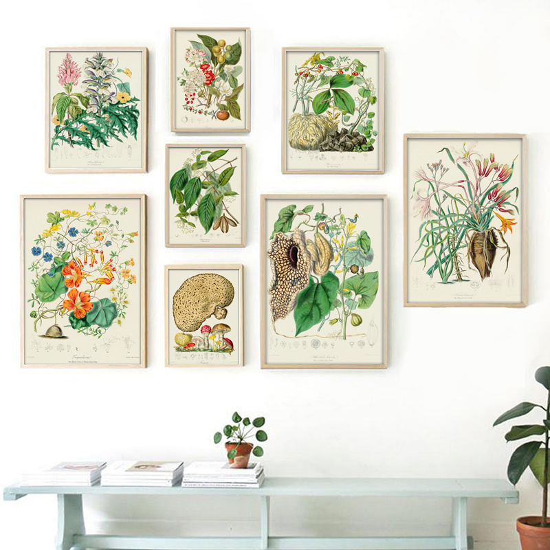 Vintage Collectible Posters - Botanische collectie: vintage posters, prints, botanische