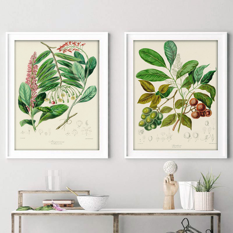 Botanische collectie: vintage  - Vintage Collectible Posters recensie en prijs