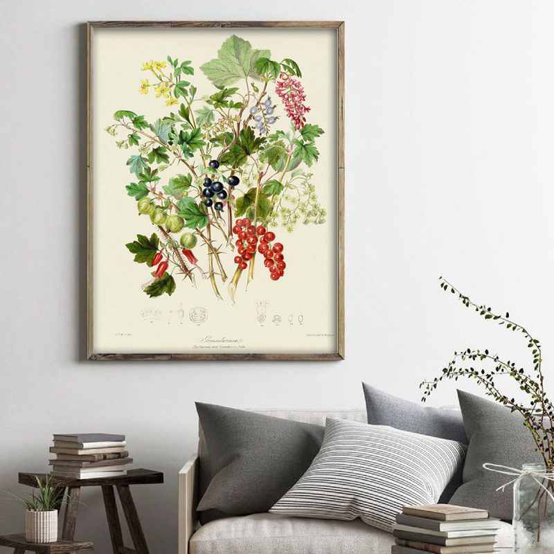 Botanische collectie: vintage  - Vintage Collectible Posters recensie en prijs